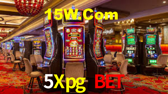 5Xpg Bet App Interface