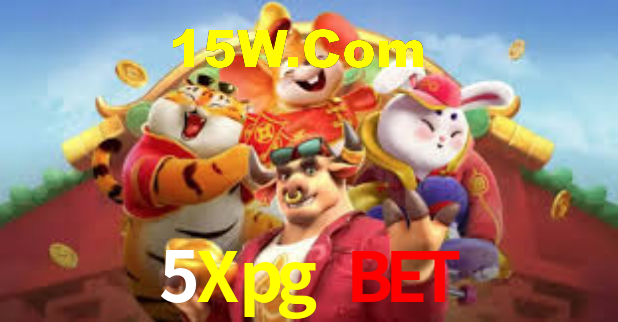 Segurança e privacidade no APP 5Xpg Bet