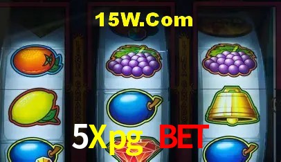 Segurança e performance na plataforma 5Xpg Bet