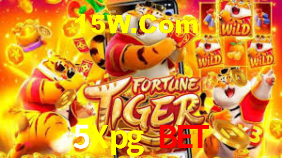 Mercados ao vivo e cash out na 5Xpg Bet